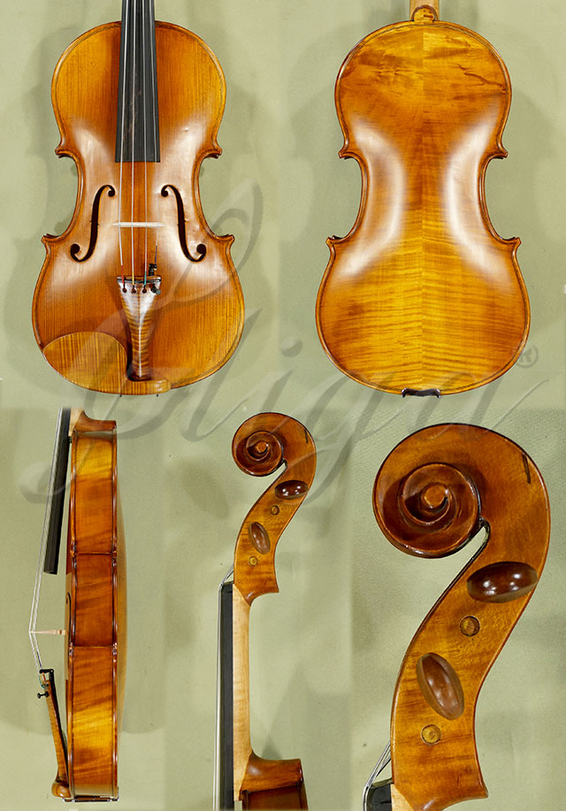 Antiqued 16" ADVANCED GENOVA 3 Viola * Code: C3656