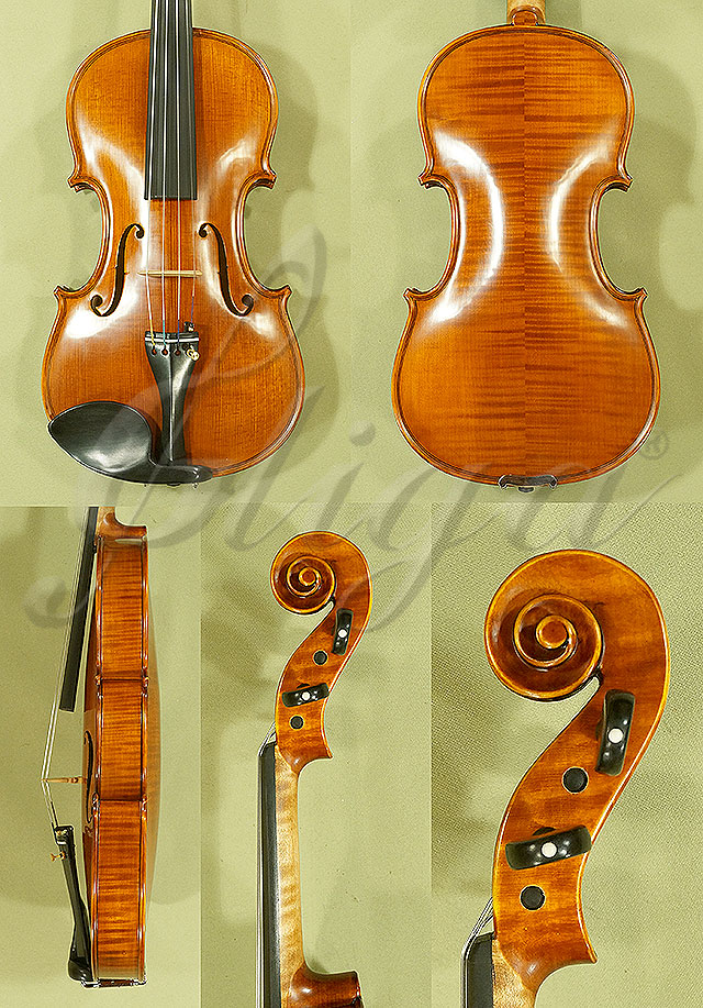 Antiqued 4/4 PROFESSIONAL GAMA Violin * Code: C5567