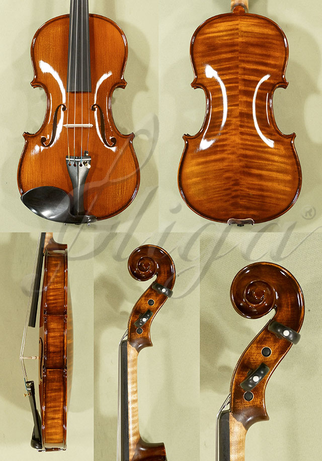 Shiny Antiqued Stained 4/4 PROFESSIONAL GAMA Violin * Code: C6017