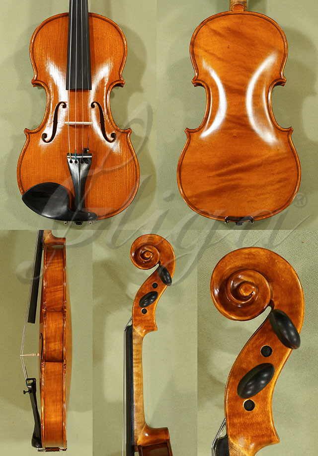 Antiqued 1/2 WORKSHOP GEMS 1 One Piece Back Violin * Code: C6658