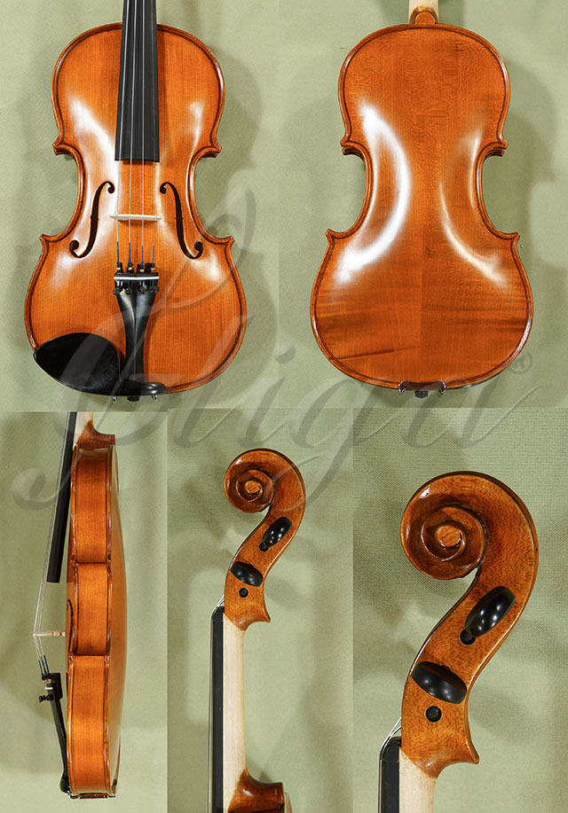 Antiqued 4/4 School GENIAL 1-Oil Violin  * Code: C8408