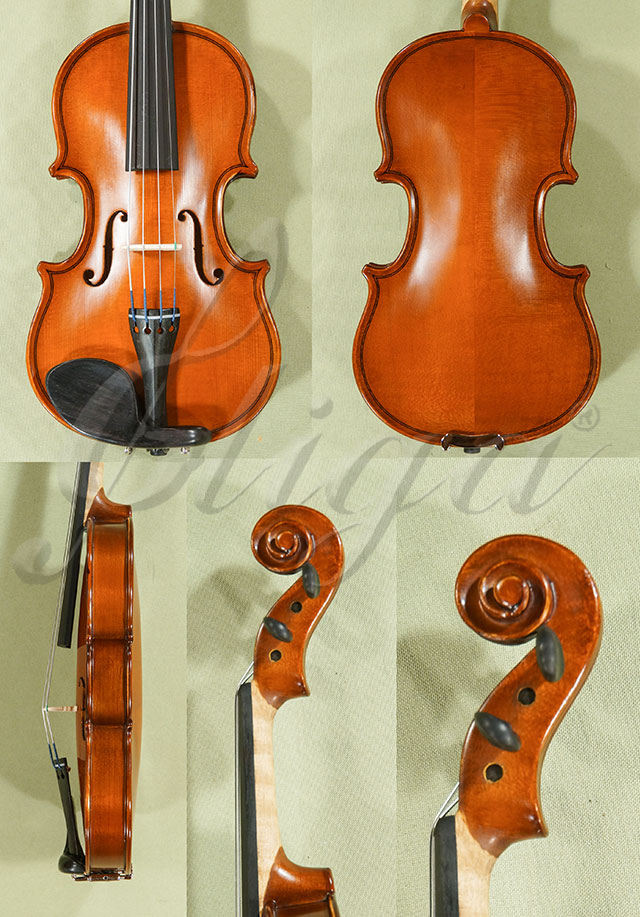 1/16 School GENIAL 1-Oil Violin  * Code: D0056