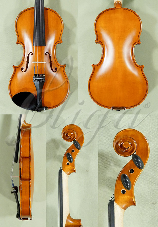 1/2 School GENIAL 1-Oil Violin  * Code: D0145