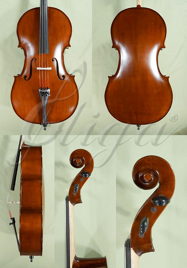 Stained Antiqued 4/4 School GENIAL 1-Oil Cello * Code: D0182