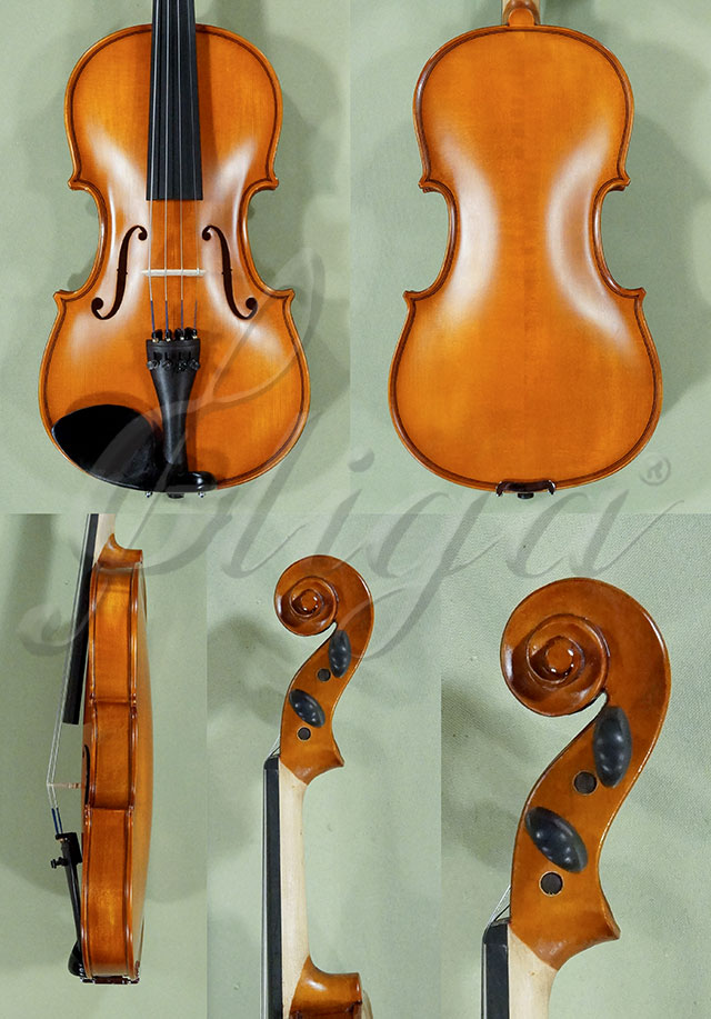3/4 School GENIAL 1-Oil Violin  * Code: D0228
