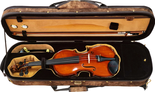 Kit On Sale: Gliga Gama Full Size 4/4 Violin Outfit | ViolinsLover.com