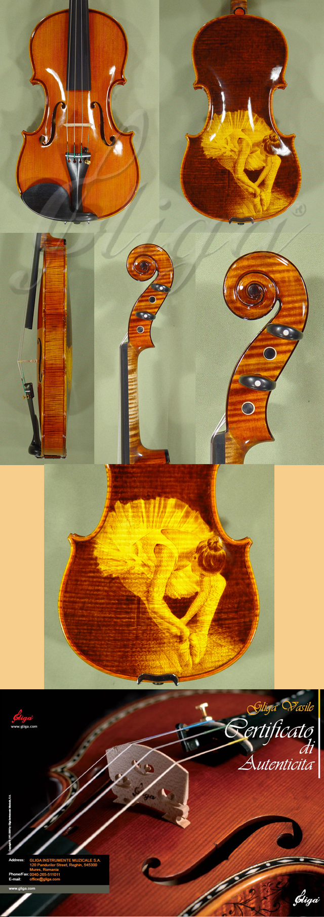 Shiny 4/4 MAESTRO VASILE GLIGA One Piece Back Violin * Code: B1442