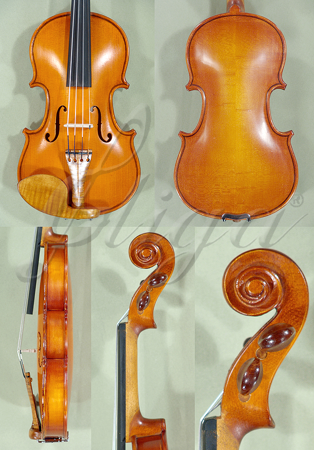 1/10 STUDENT 'GLORIA 2' Violin * Code: B6549 | ViolinsLover.com