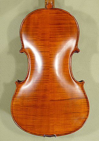 17" INTERMEDIATE GLORIA 1 Violas * GC6251