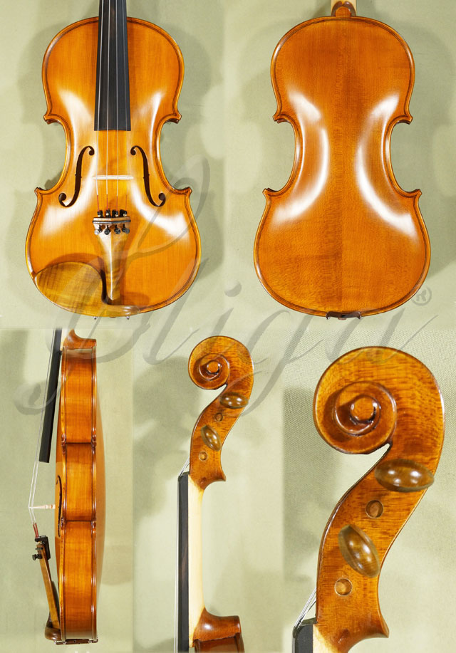 Antiqued 4/4 STUDENT GLORIA 2 Violin * Code: C2274