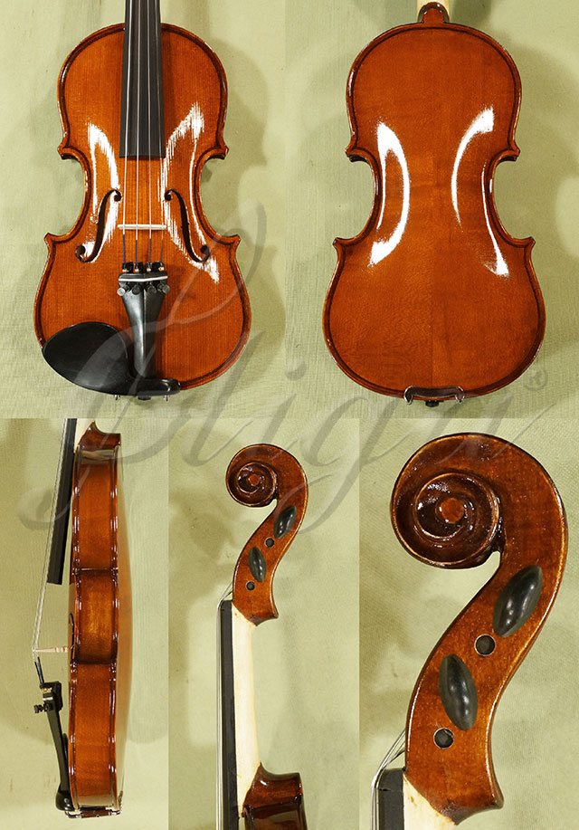 Shiny 1/4 School GENIAL 1-Oil Violin  * Code: C7234