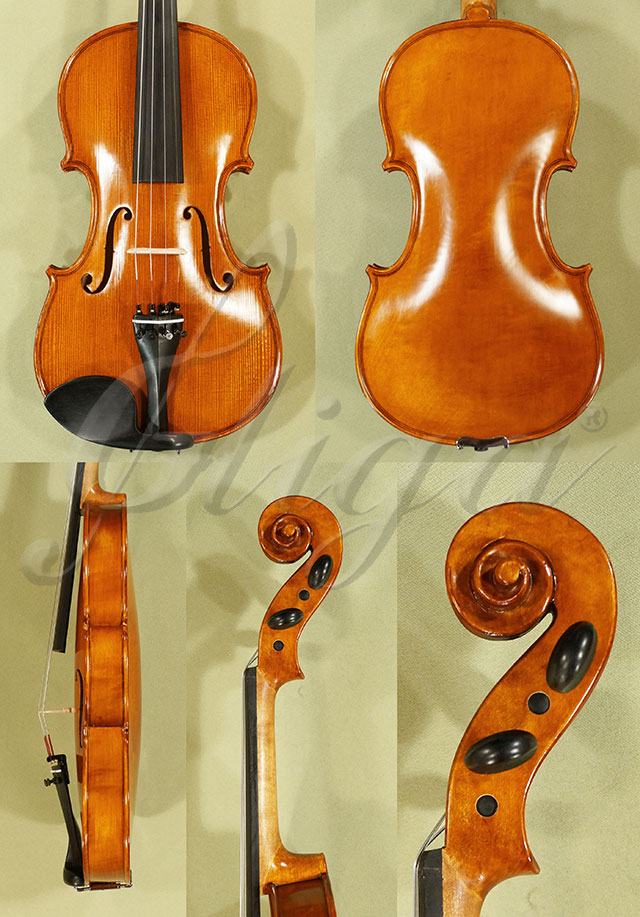 Antiqued 4/4 Student GEMS 2 One Piece Back Violin * Code: C7759