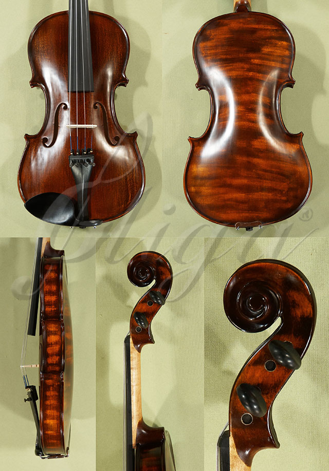 Stained Antiqued 4/4 School GENIAL 1-Oil Violin  * Code: C8714