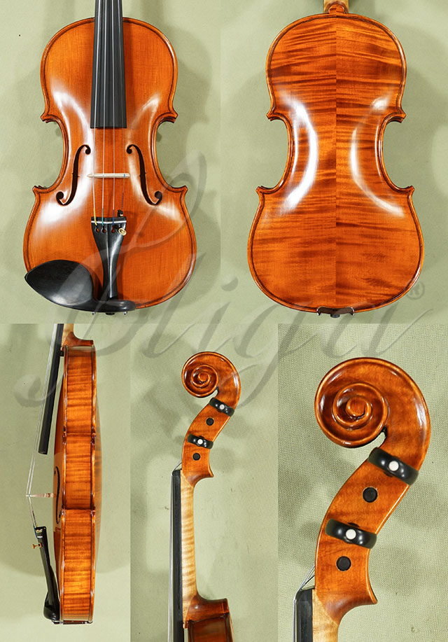 4/4 PROFESSIONAL GAMA Violin  * Code: C8952