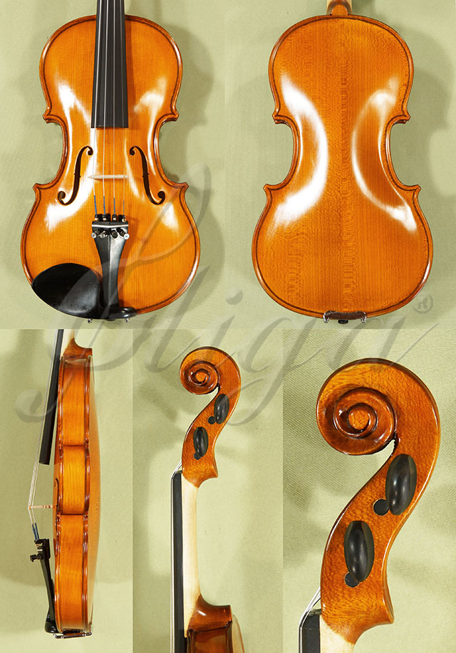 1/2 School GENIAL 1-Oil Violin  * Code: C9128