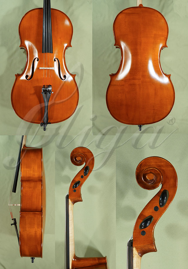 4/4 School GENIAL 1-Oil Cello  * Code: C9256