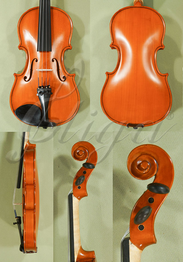 1/2 School GENIAL 1-Oil Violin  * Code: C9631