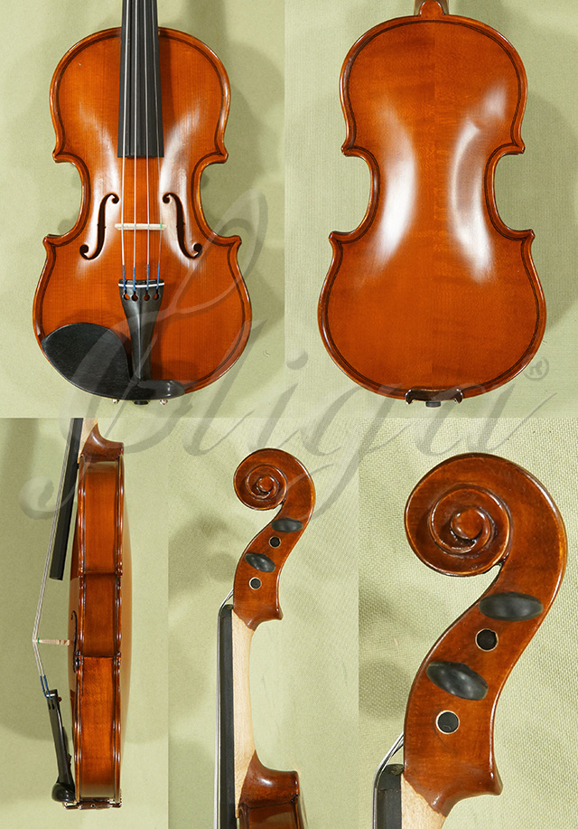 1/16 School GENIAL 1-Oil Violin  * Code: D0060