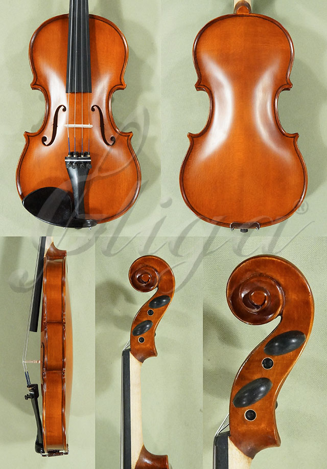 1/2 School GENIAL 1-Oil Violin  * Code: D0150