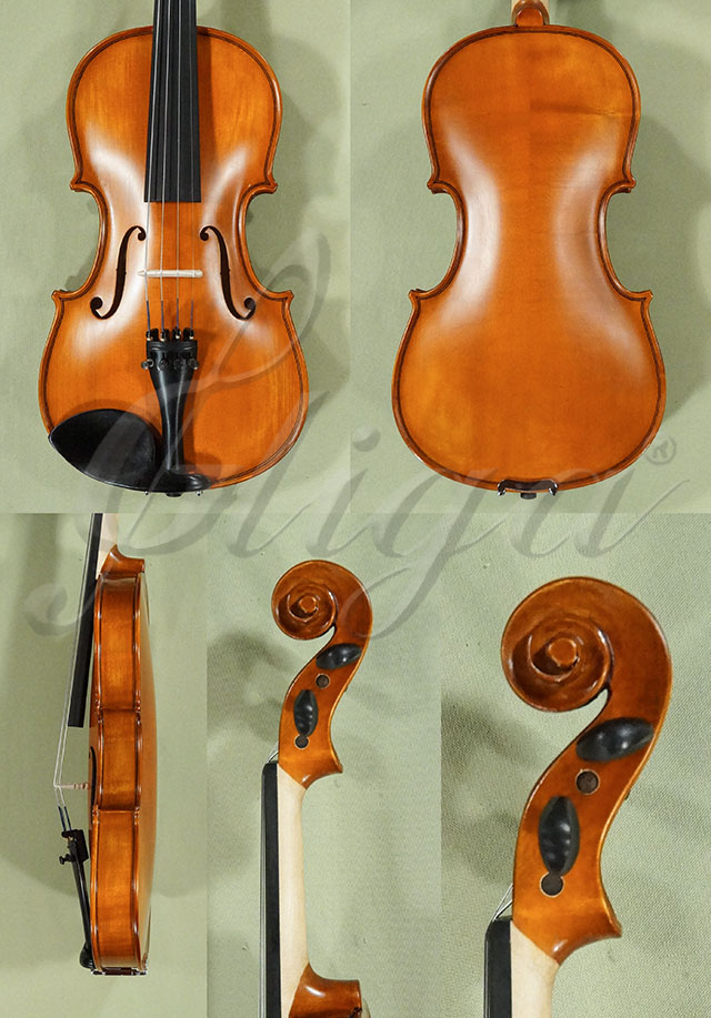Antiqued 3/4 School GENIAL 1-Oil Violin * Code: D0227