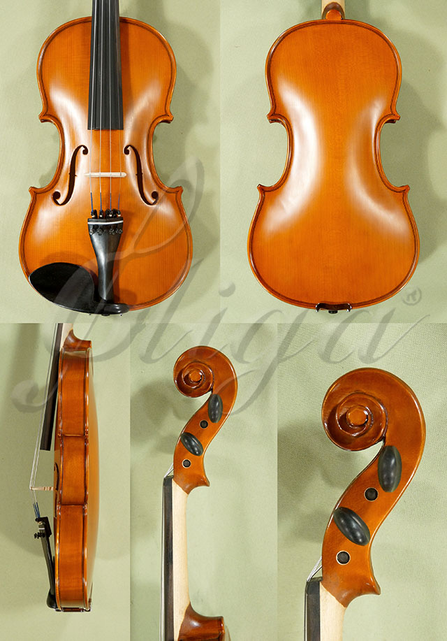 4/4 School GENIAL 1-Oil One Piece Back Violin  * Code: D0308