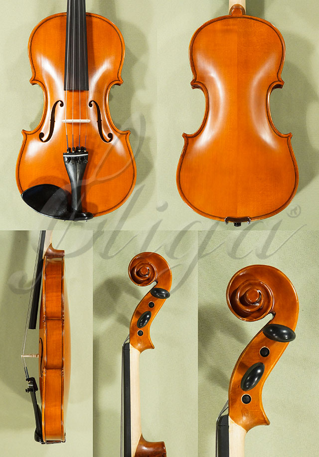 4/4 School GENIAL 1-Oil Violin * Code: D0461