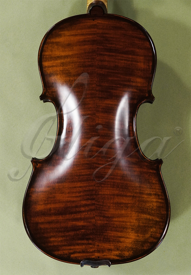 Stained Antiqued 4/4 MAESTRO GLIGA Violins * GC6579