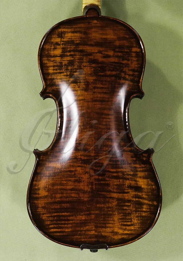 Stained Antiqued 4/4 MAESTRO GLIGA Violins * GC6579