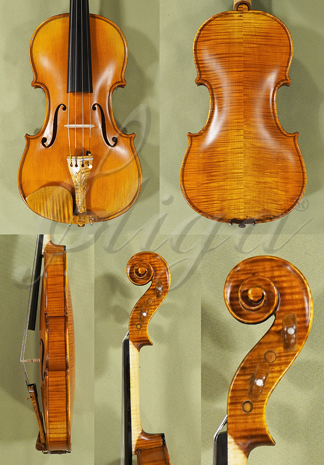 Antiqued 4/4 MASTER GENOVA 1 Violins * GC5289