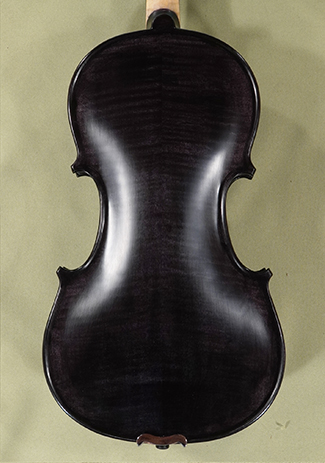 4/4 PROFESSIONAL 'GAMA' Black Violin * Code: D1621